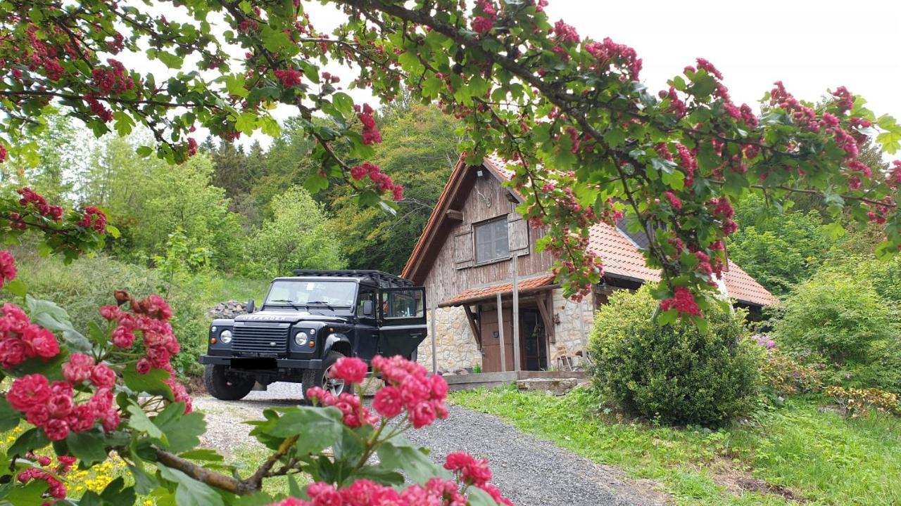 Jagdhaus In Der Rhoen In Voelliger Alleinlage Gersfeld Exterior foto